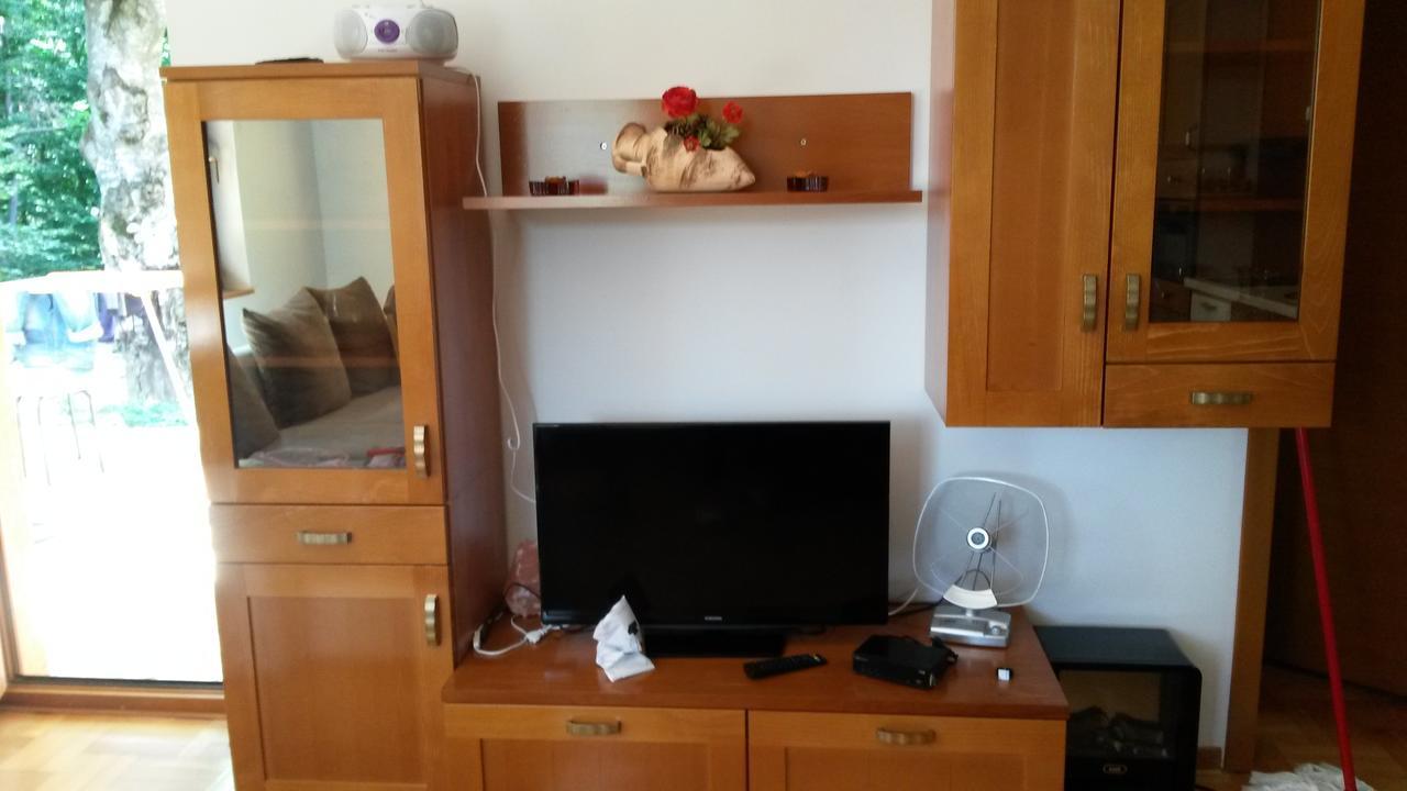 Apartment Joksimovic Zlatibor Luaran gambar